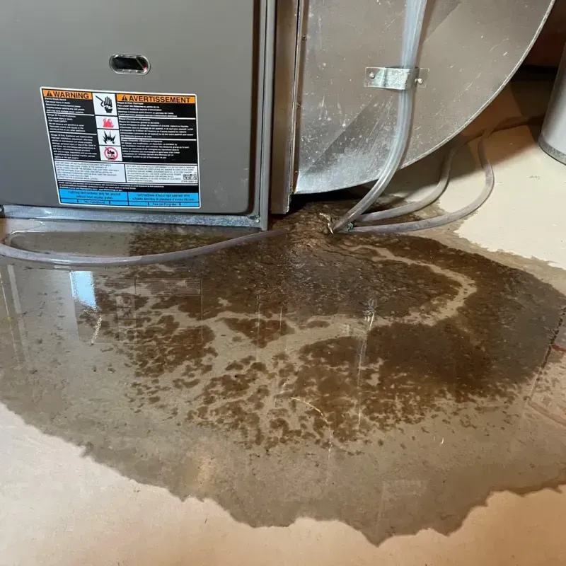 Appliance Leak Cleanup in Greene County, IN